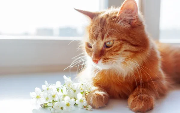 Стабильная погода 29 апреля: мягкие температуры и переменная облачность по всей стране