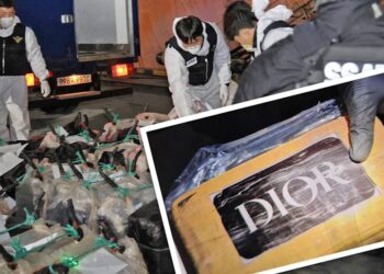 В Южной Корее пресекли крупнейший ввоз наркотиков — кокаин был замаскирован под продукты Dior