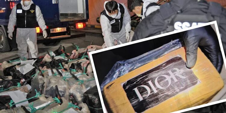 В Южной Корее пресекли крупнейший ввоз наркотиков — кокаин был замаскирован под продукты Dior