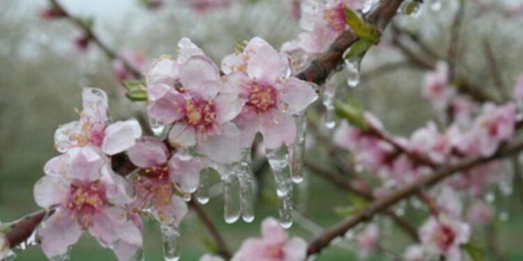 Переменная облачность и ночные заморозки: какая погода нас ждет?