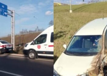 Водитель автомобиля Toyota съехал с трассы: потребовалась помощь медиков