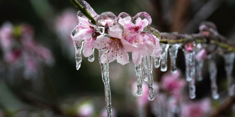 Жёлтый код: сильный ветер и заморозки в Республике Молдова