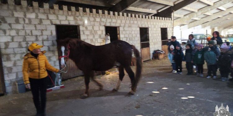 В конном клубе в Бендерах пострадали дети. Один ребенок – в реанимации