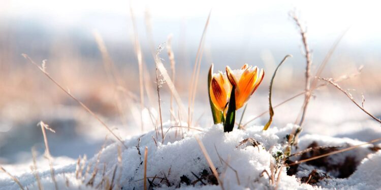 Весна задерживается: В Молдове — мокрый снег и холод