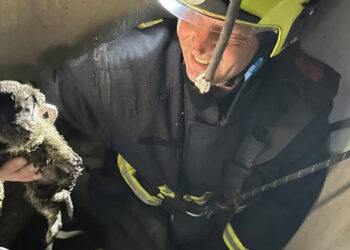 Criuleni: Cățel salvat de pompieri după ce a căzut într-o fântână de 15 metri