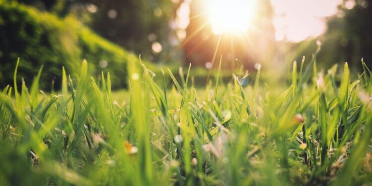 Весна вступает в свои права: солнечный апрельский день с высокими температурами