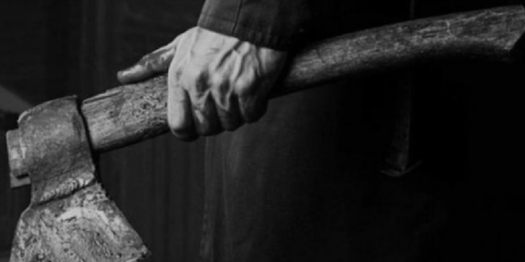 A despicat brațul soției cu toporul: Un bărbat din Edineț, condamnat la 3 ani și 6 luni de pușcărie