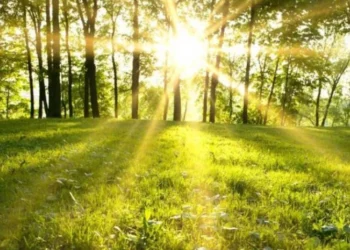 Vreme frumoasă de primăvară: Soare și temperaturi de până la 25°C