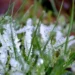 Săptămâna a început cu vreme rece, dar fără precipitații