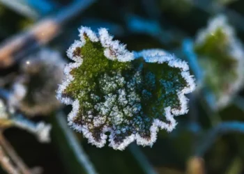 Temperaturi scăzute și vânt puternic în toată țara