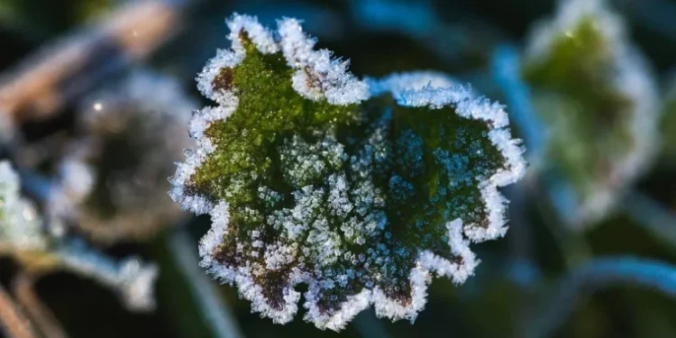 Temperaturi scăzute și vânt puternic în toată țara