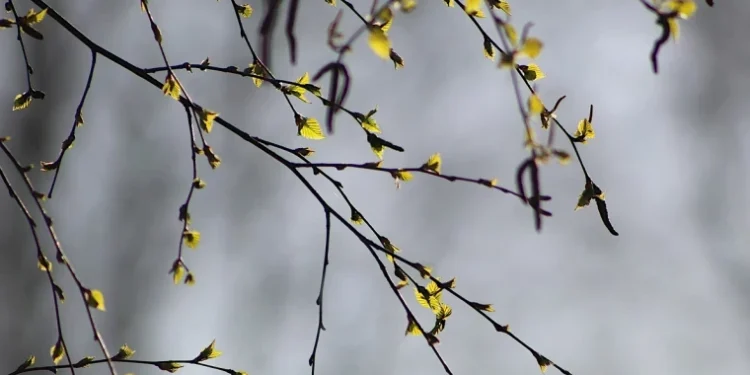 Meteo: Cer variabil și maxime de până la 22°C