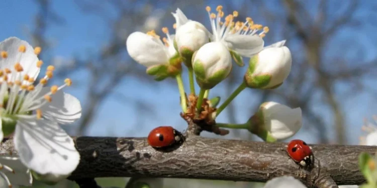 Soare și vânt moderat – prognoza meteo pentru astăzi