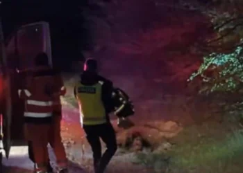 Mesajul mamei Andreei, copila dispărută în pădurea din Strășeni: „Fetița noastră este bine”