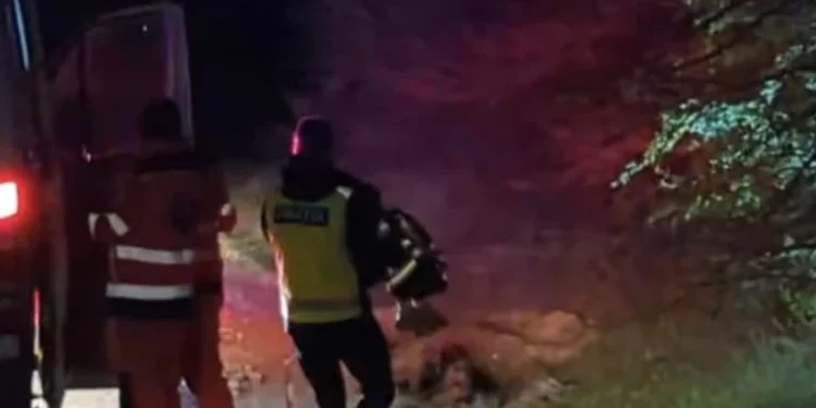 Mesajul mamei Andreei, copila dispărută în pădurea din Strășeni: „Fetița noastră este bine”