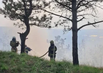 Пожар на левом берегу Днестра охватил несколько гектаров сухой травы