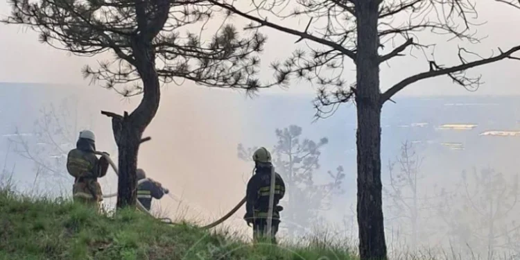 Пожар на левом берегу Днестра охватил несколько гектаров сухой травы