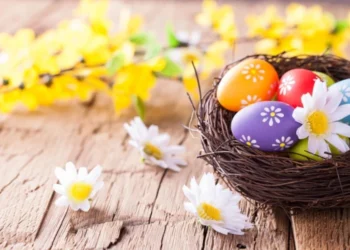 Soare și vreme caldă în toată țara