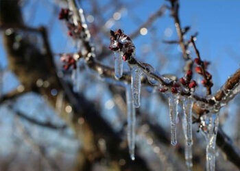 Fermierii cer introducerea stării de urgență în sector. Ministerul Agriculturii tace
