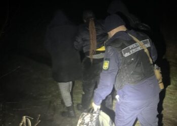 Tentativă de migrație ilegală dejucată la frontieră