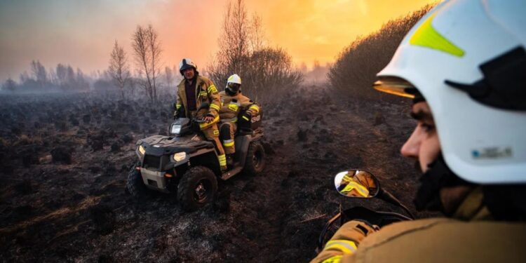 В Польше второй день пылает национальный парк, спасатели привлекли пожарную авиацию