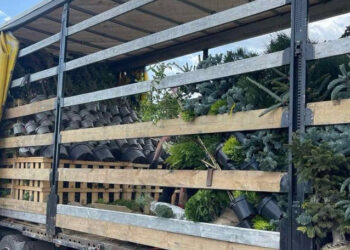 Șofer prins cu marfă nedeclarată de 300.000 lei la vamă