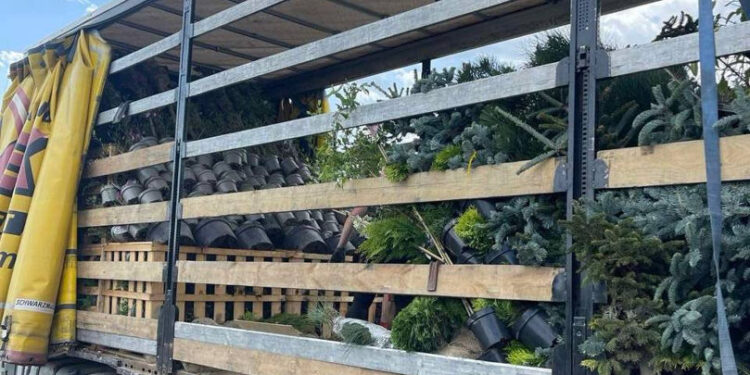 Șofer prins cu marfă nedeclarată de 300.000 lei la vamă