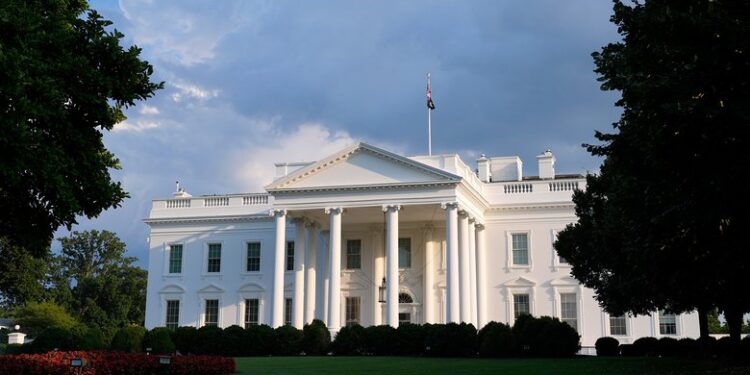 Прекратить прием и выслать: власти Нидерландов начали борьбу с украинскими беженцами без гражданства