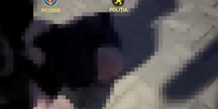 Captură de marijuana de 300.000 lei la Cahul