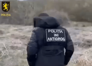 Grupare de traficanți de droguri, destructurată la Bălți