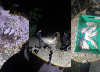 Braconaj pe Nistru: Șapte persoane sancționate cu amenzi de 29.400 lei