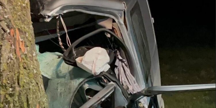 Accident mortal în apropierea municipiului Bălţi: Microbuzul s-a lovit de un copac