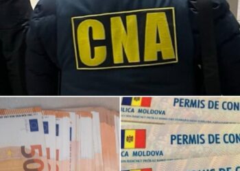 O femeie din Chișinău, cercetată pentru trafic de influență în eliberarea unui permis auto