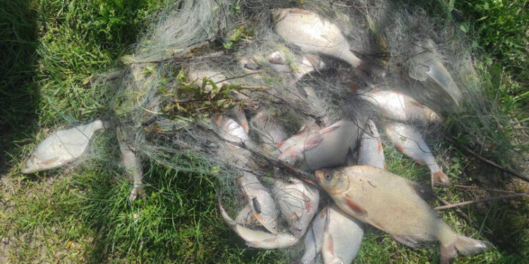 Doi bărbați, surprinși pescuind ilegal în zona de frontieră cu România