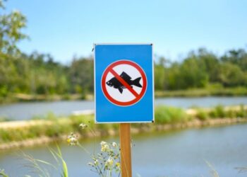 Prohibiție la pescuit până pe 14 iunie: IPM informează și avertizează populația