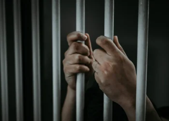 O femeie nevinovată a stat 15 ani în închisoare. Ce legătură are maniacul Cotorobai? |VIDEO