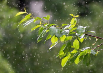 Прогноз погоды на 26 апреля