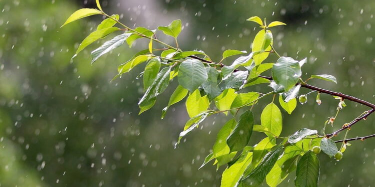 Прогноз погоды на 26 апреля