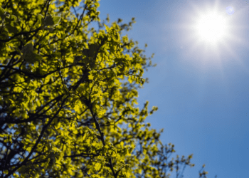 Светлый праздник — с ясным небом: сегодня в Молдове тепло и без осадков