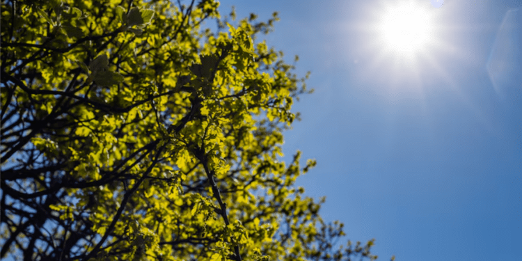 Светлый праздник — с ясным небом: сегодня в Молдове тепло и без осадков