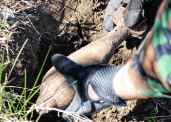 211 obiecte explozive distruse de geniști în aprilie