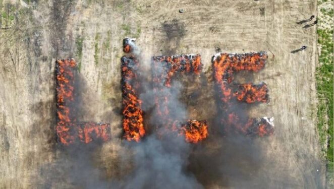 В Турции целый город «кайфовал» от марихуаны из-за халатности полиции