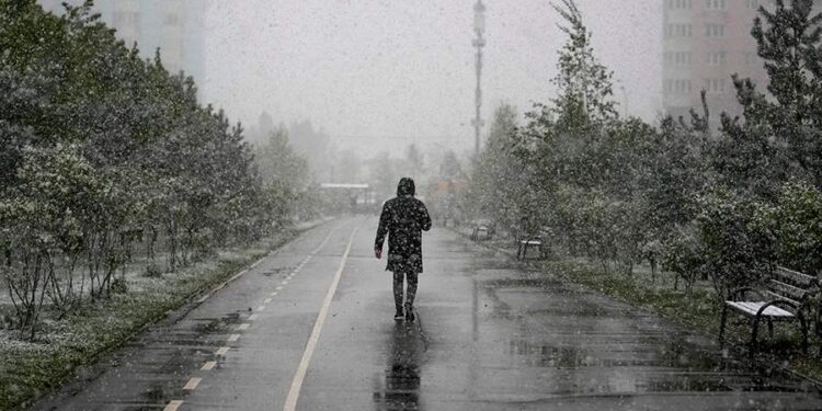 Вот это Первомай! Московский снегопад побил рекорд 116-летней давности