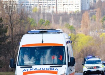 Водитель грузовика внезапно скончался после того, как попросил воду у патрульных в Яловенах