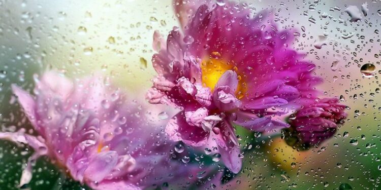 Нестабильная погода в Молдове: пасмурно, местами дожди и умеренные температуры