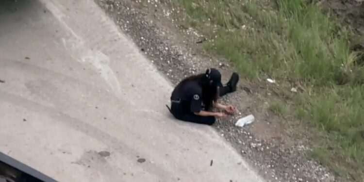 800 тысяч долларов на дороге: оживленную трассу засыпало монетами после аварии