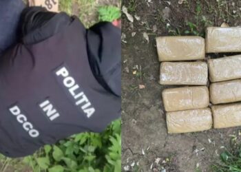 Doi curieri de droguri, încătușați de polițiști. Riscă până la 15 ani de închisoare