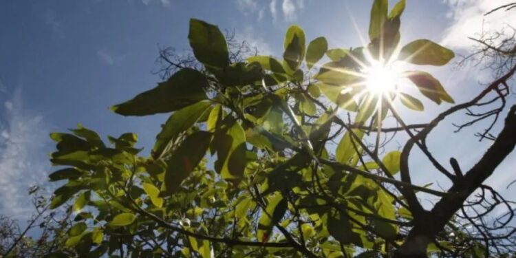 Синоптики рассказали, какой будет погода 22 мая