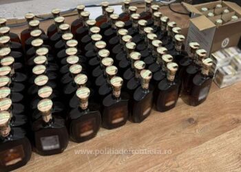 Молдованин задержан в Румынии с 70 бутылками контрабандного алкоголя
