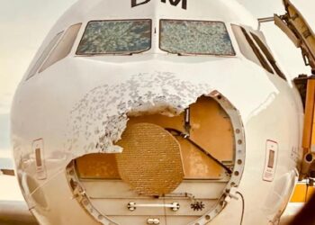 «Почти смертельный опыт». Индийский Airbus с 227 пассажирами едва избежал катастрофы